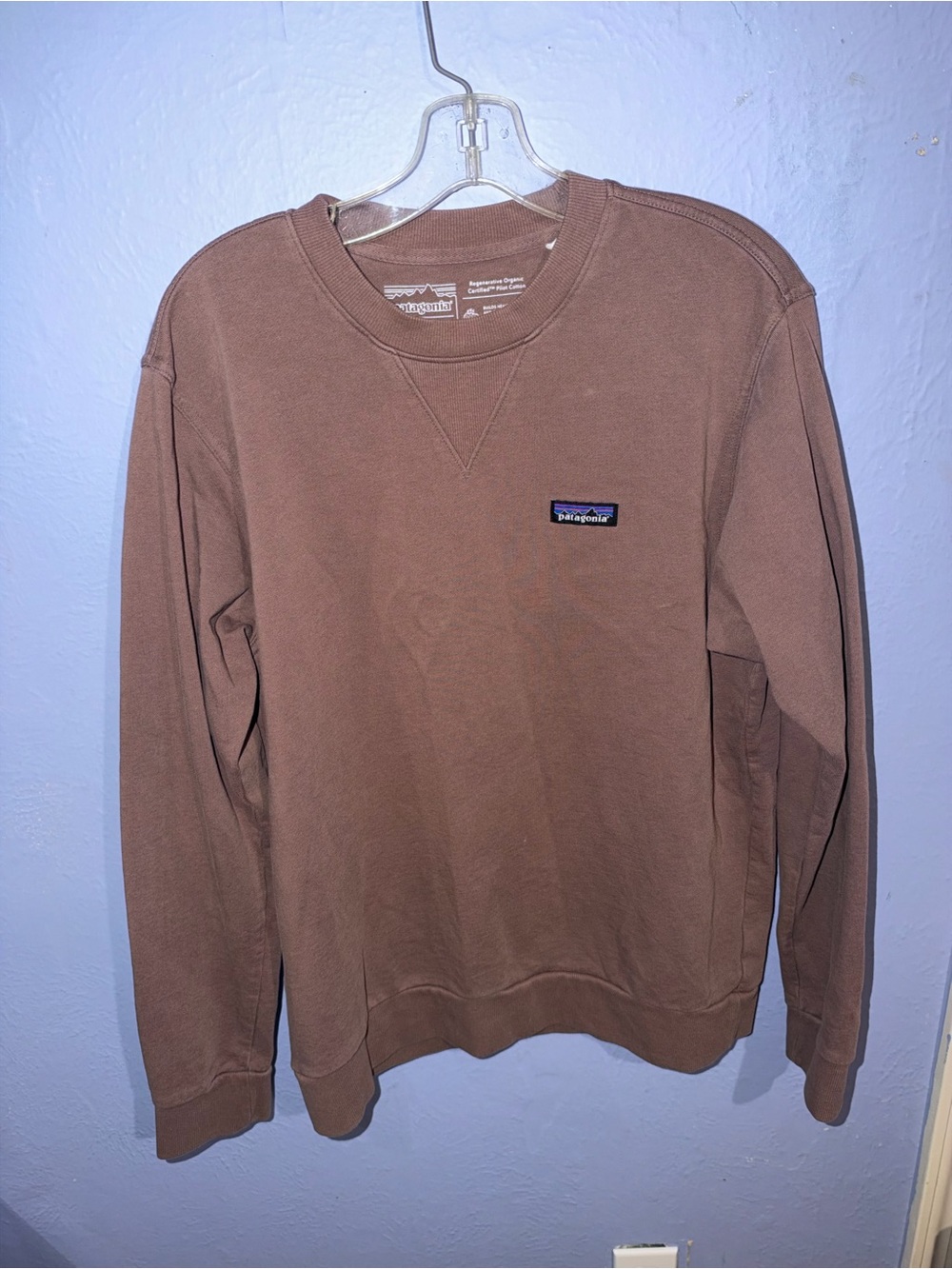 Patagonia Men's Crewneck Sweatshirt in Brown